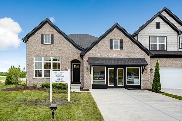15909 Prairie View Ct, New Lenox, IL